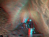IMG_5554